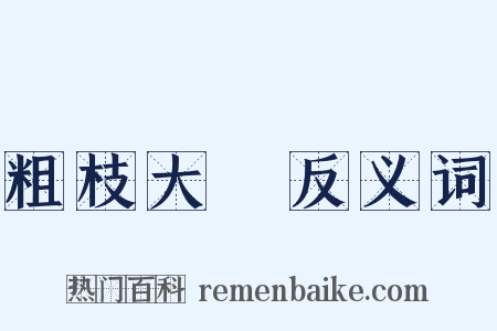 粗枝大葉反义词是什么意思的图片